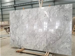 Super White Silver Staturio Quartzite Slab Tile