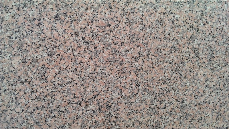 Indian Porrino Granite Slab