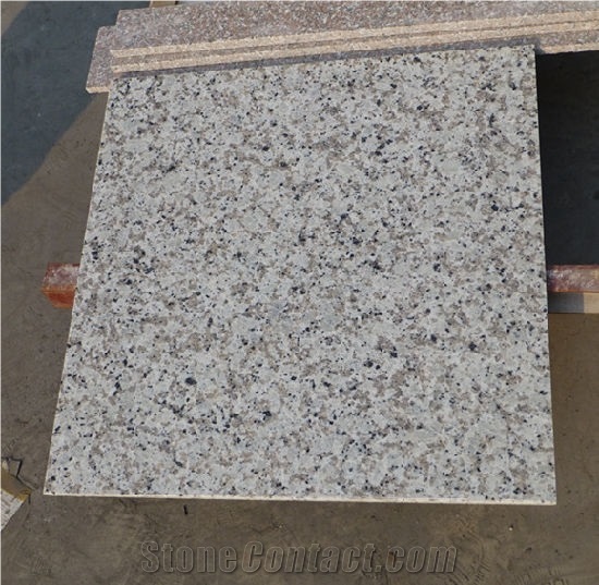 Bala White Granite Slabs Tiles for Countertops