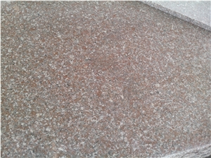 China G648 Granite Slabs Floor Tiles for Kitchen
