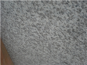 Grey Granite Slabs, Granite Wall Tiles