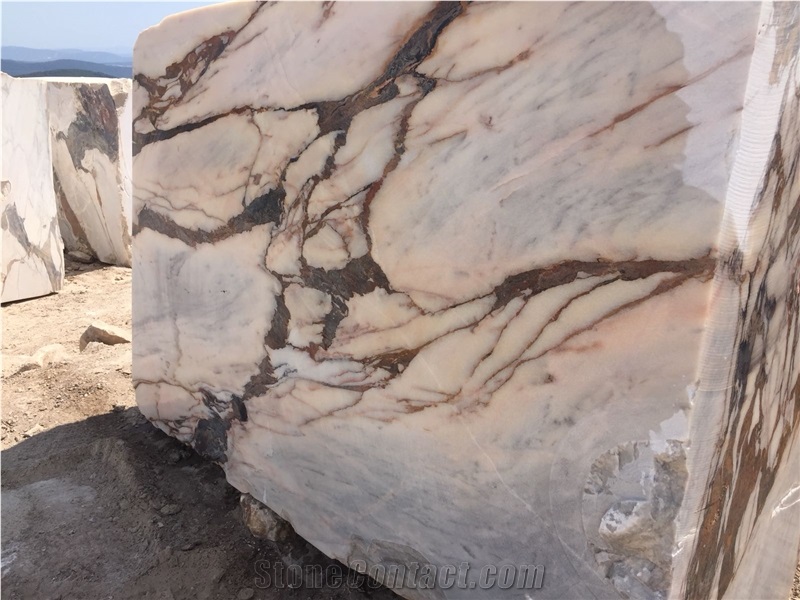 Turkey Calacatta Viola Marble Blocks