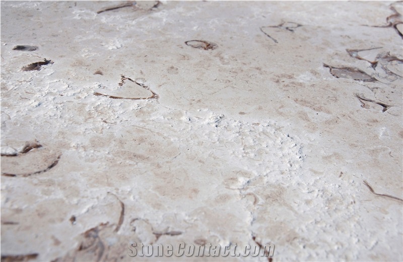 Kanfanar Shells - Brushed Limestone Tiles, Slabs