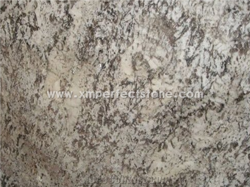 High Polished Big Aran White Flower Granite Slabs