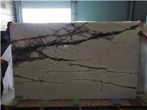 Ziluo White Translucent Marble Tiles & Slabs