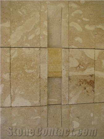 Coral Stone Skylight Tiles, Dominican Coral Stone