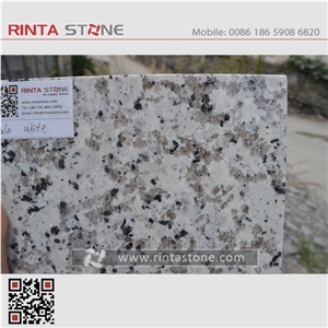 Bala White Granite Guangdong Grey G439