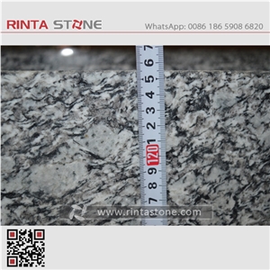 Spray White Granite Seawave Zijiang G708 Slabs