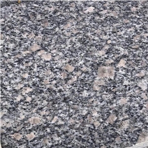 YUANDA Grey Pearl Flower G383 Granite Slabs