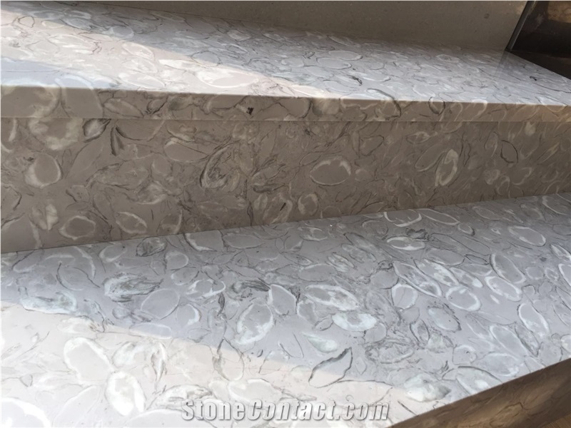 Grey Shell Marble Polished Standard Interior Steps