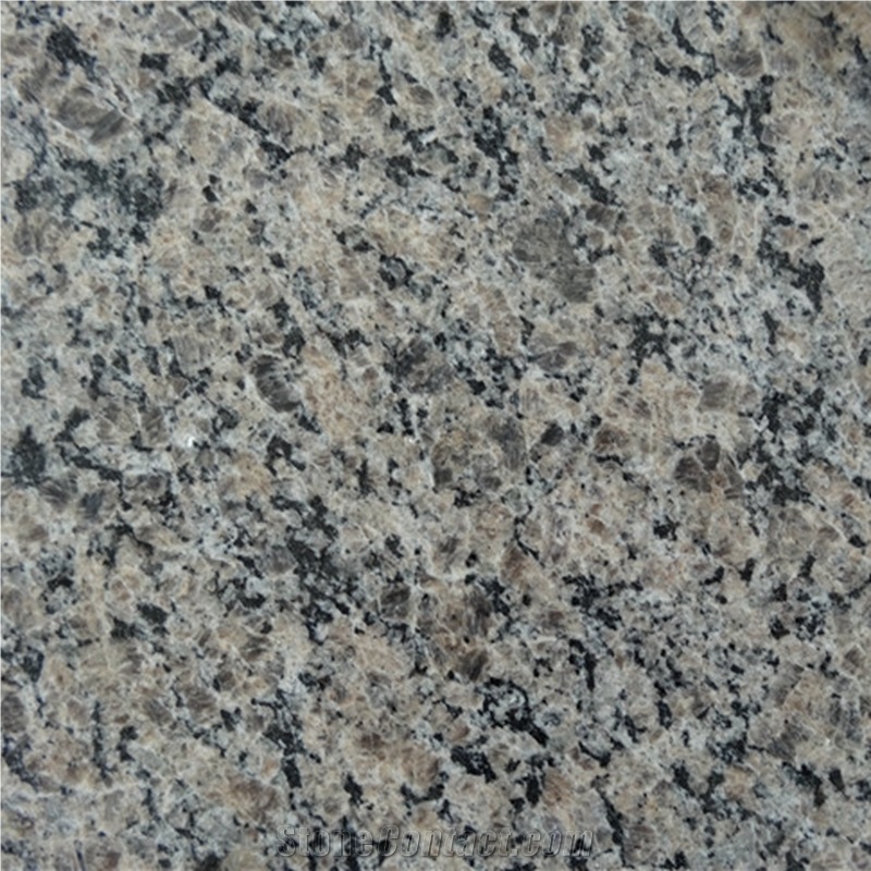 Caledonia Brown Granite Slabs