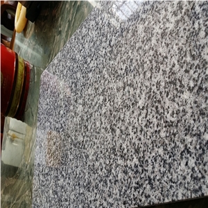 China G640 Luna Pearl Granite Slabs Price