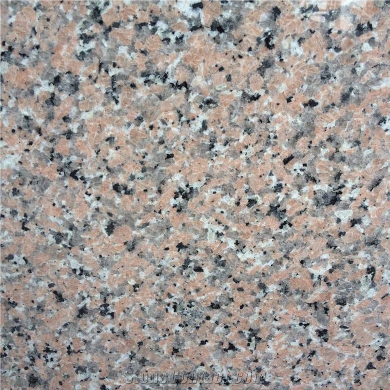 China Xili Red Granite Floor Tiles 60x60cm