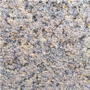 Chinese Butterfly Blue G695 Granite Tiles