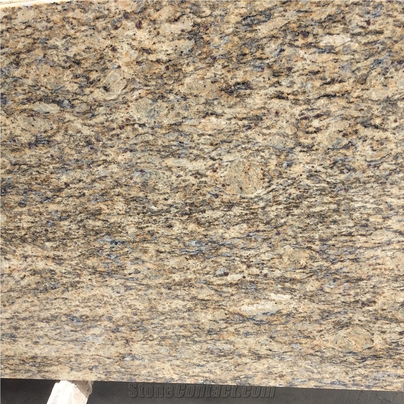 Middle Santa Cecilia Granite Slabs