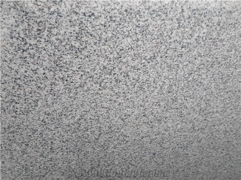 Wuhan G603 Light Grey Granite Tiles Slabs