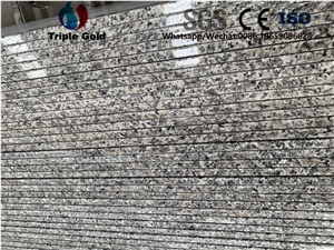 Dallas Goose Granite Wall Application Installation