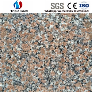 G561 Maple Red Leaf Granite Floor Wall Tiles Slabs