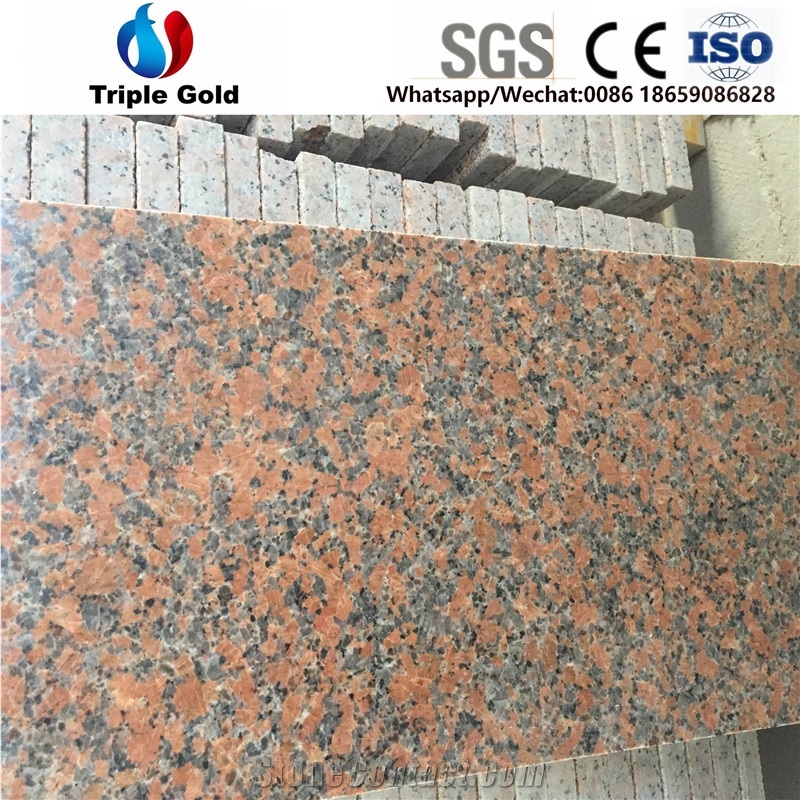 G562 G561 Maple Red Leaf Granite Wall Floor Tiles