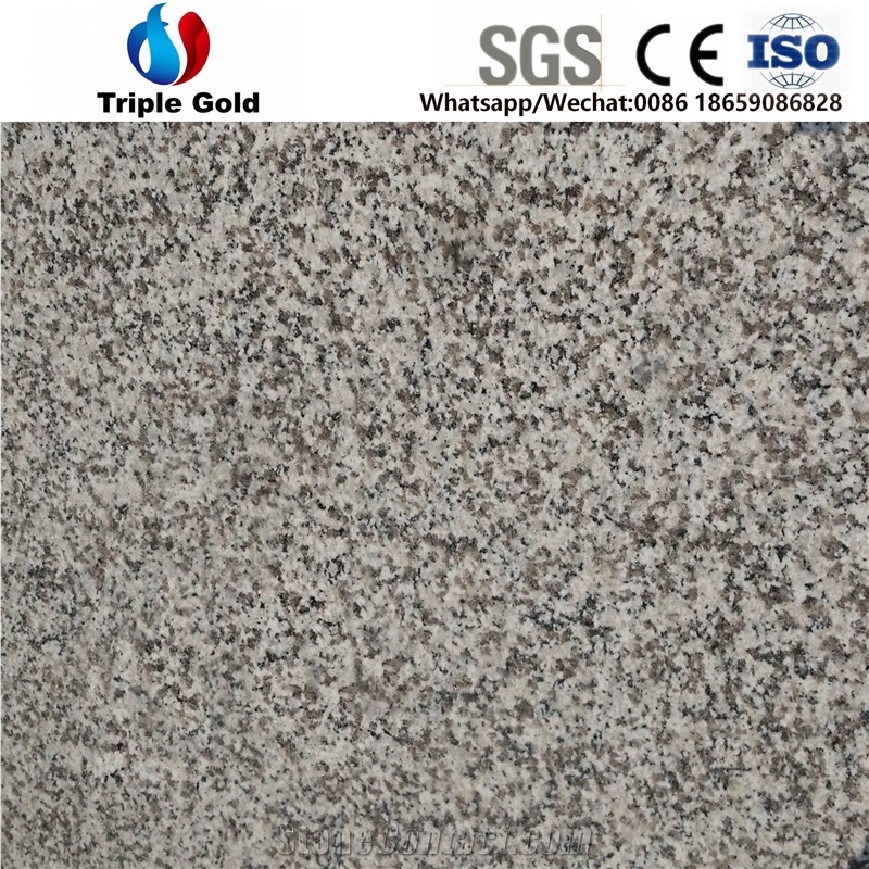 G623 Barre White Light Grey Granite Floor Tiles