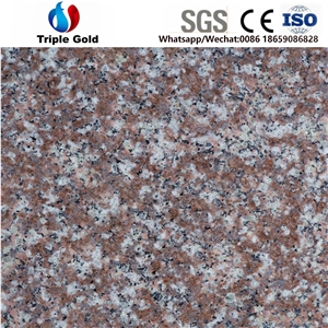 G687 Peach Red Pink Granite Floor Slabs Tiles