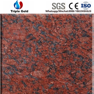 Imperial Iron Indian Red Granite Floor Wall Tiles