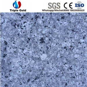 Pearl Blue Light Grey Granite Floor Wall Tiles