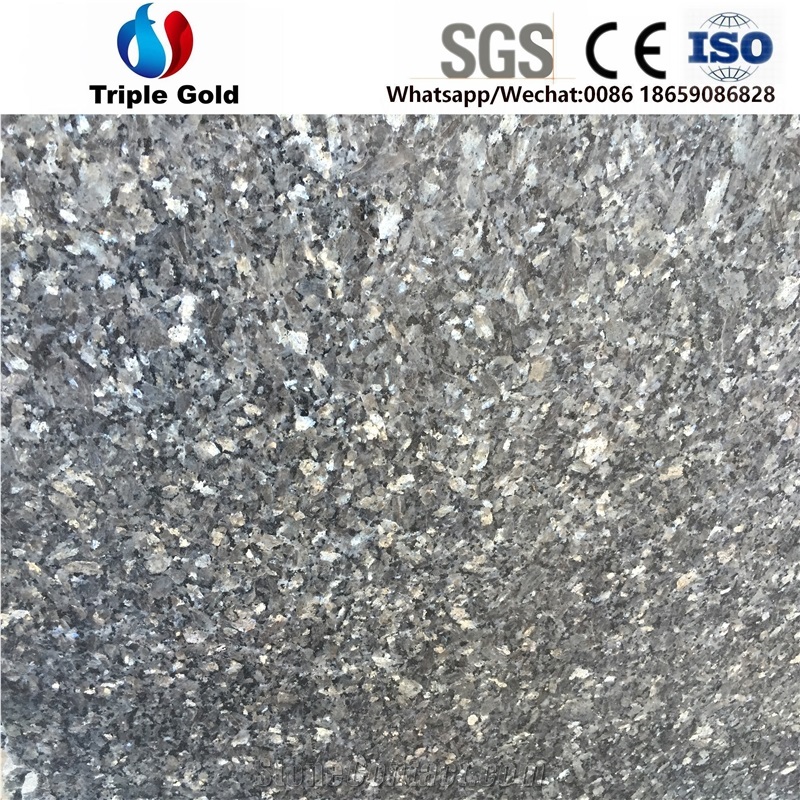 Silver Pearl Blue Star Granite Floor Slabs Tiles