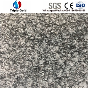 Spray White Granite Wall Floor Tiles Slabs