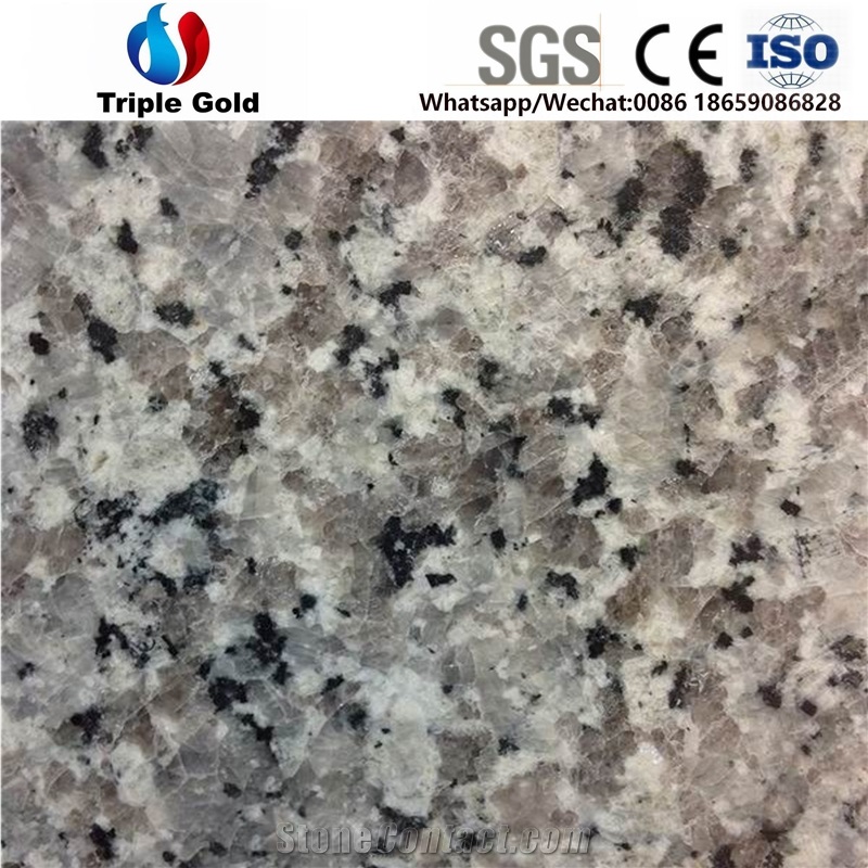 Swan White Grey Granite Floor Wall Tiles Slab