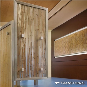 Highly Translucent Acrylic Sheet Wall Decoration