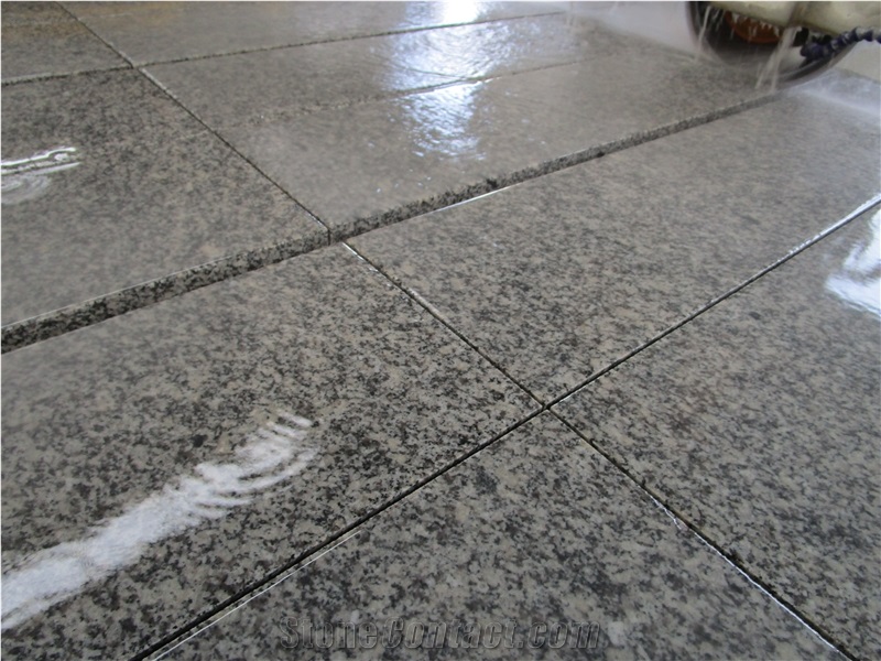 Quality Light Grey Polished Hubei New G603 Granite Steps