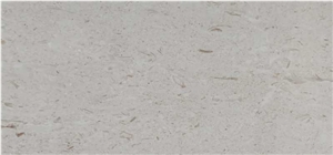Moon Beige Popular Marble Shell Stone Floor Tile