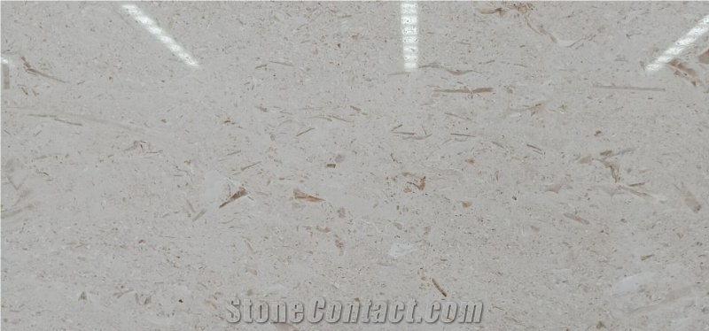 Moon Beige Popular Marble Shell Stone Floor Tile