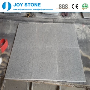 Chinese Light Grey G603 Granite Flooring Wall Tile