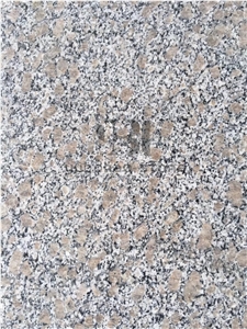 Cheap Grey Granite G383,Polished Pearl Flower Slab