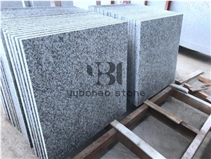 China G603 Cheap Sliver Grey, Wall Stone Cladding