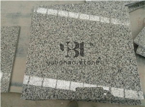 G603 Light Grey Granite Tile for Wall Installation