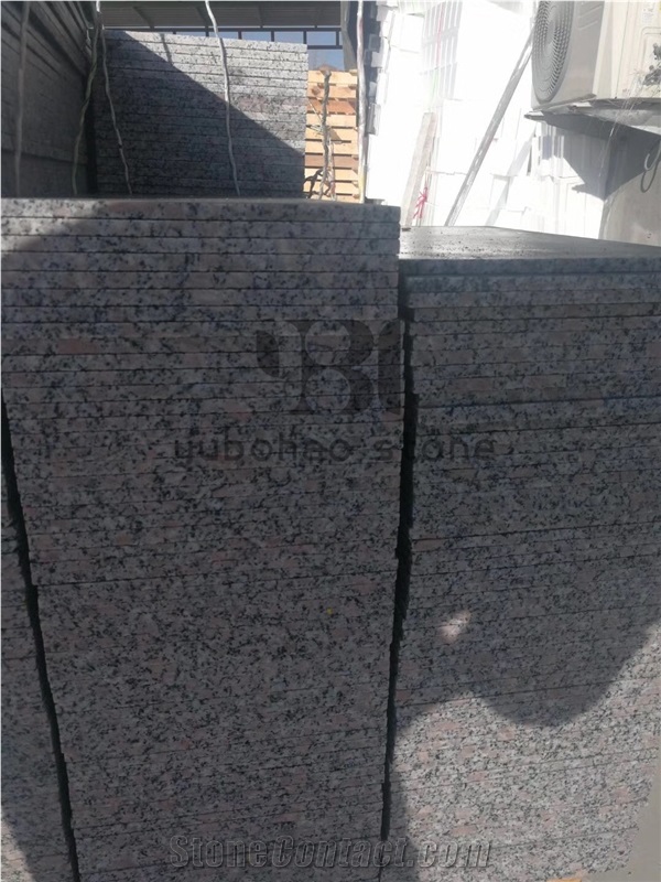 Low Price G383 Grey Granite Tiles for Stair Paving