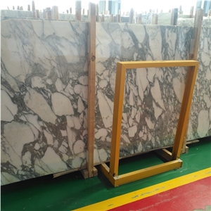 Arabescato Collettino Marble