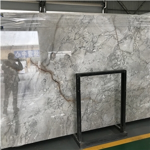 Beautiful Grey Marble Slab