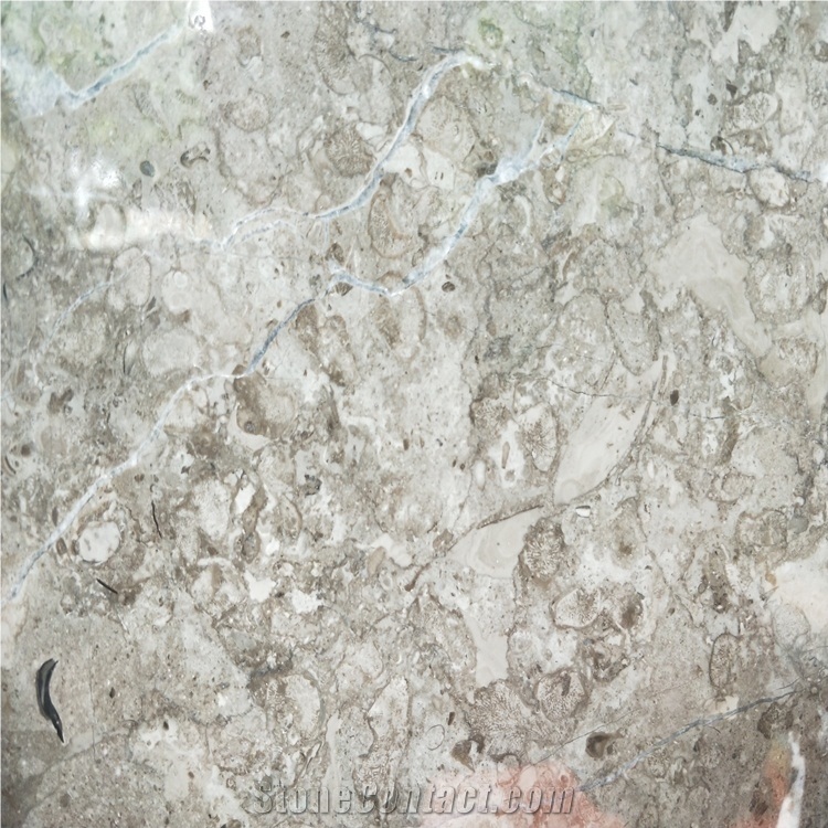 Best Quality Marble Scotland Gery Marble Tiles