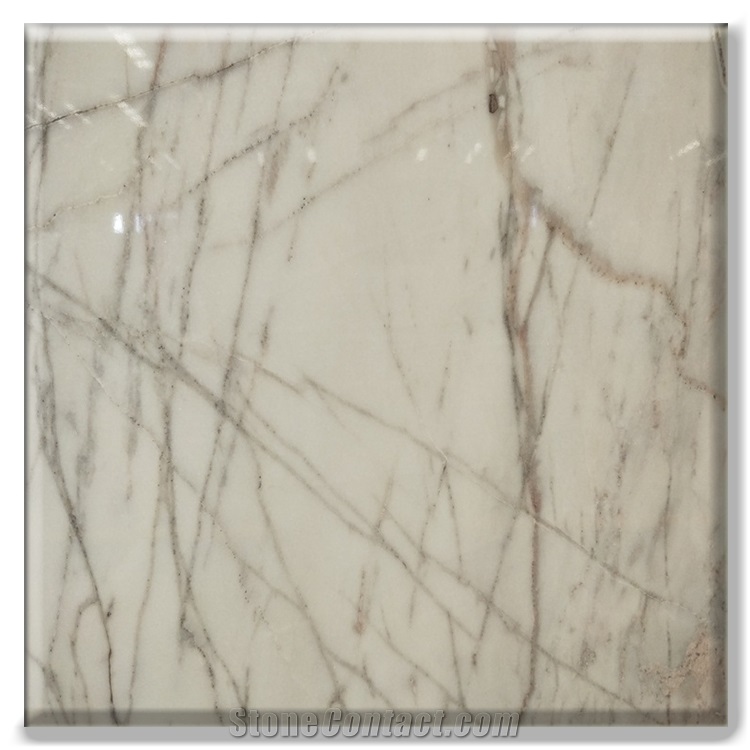 Best White Marble with Black Veins from China