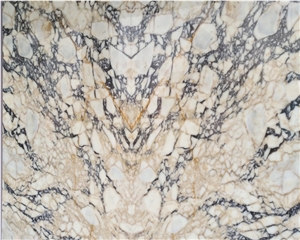 Black and Gold Veins Polished White Marble