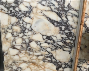 Black and Gold Veins Polished White Marble
