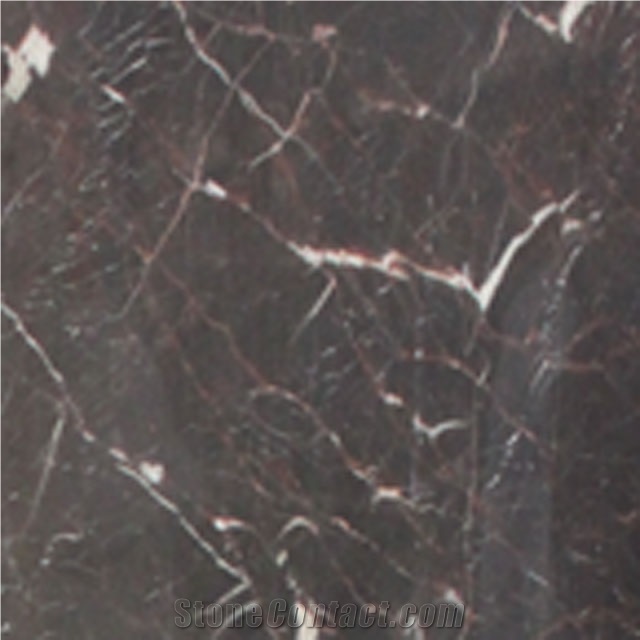Brown Marble with Gold Veins