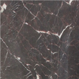Brown Marble with Gold Veins