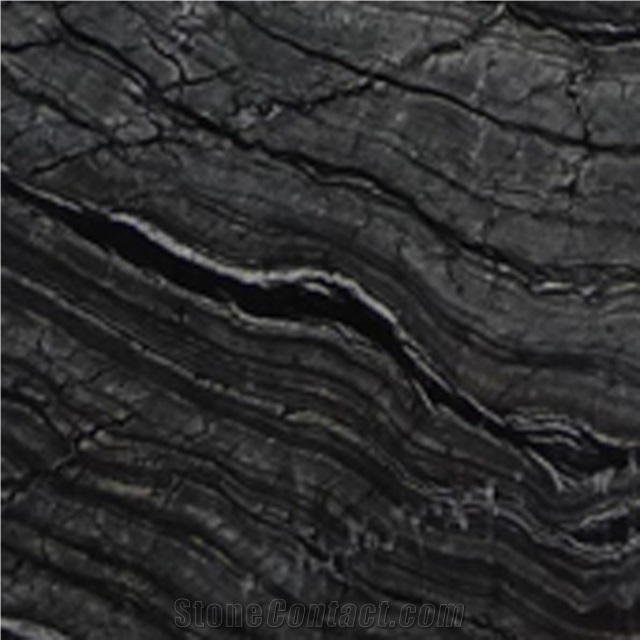 Chinese Black Wooden Grain Zebra Black Marble