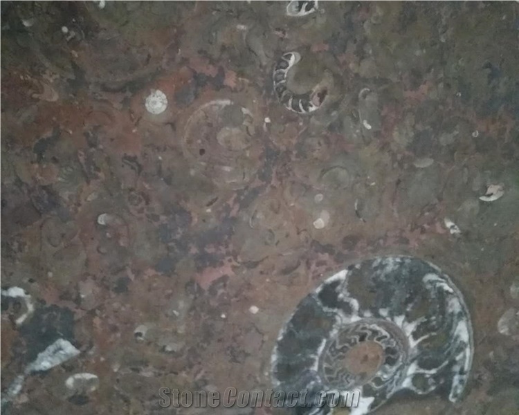 Fossil Brown Marble Price