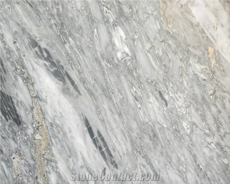 Grey Saint Laurent Marble Slab